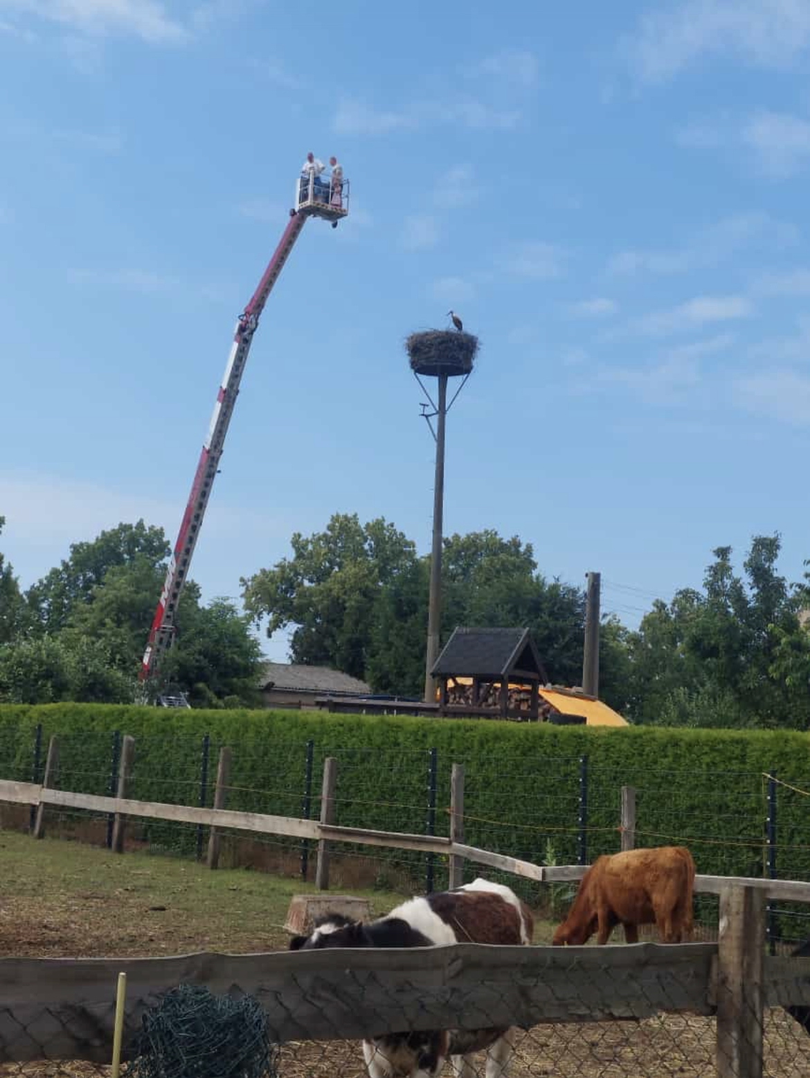 AMAK 80 mit Arbeitskorb bei einem besonderen Höheneinsatz